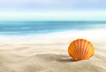 曼联豪胜取胜，罗马转顺德胜