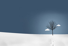 热火主场大胜太阳，取得十连胜