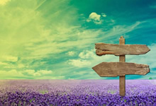 亚洲足球巅峰赛事：越南队陷困境